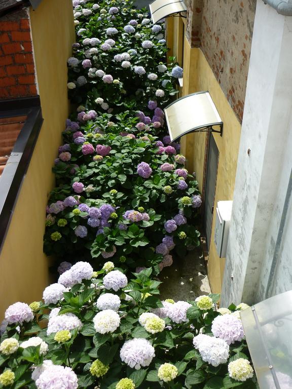 L'Adele Bed&Breakfast Occimiano Exterior foto
